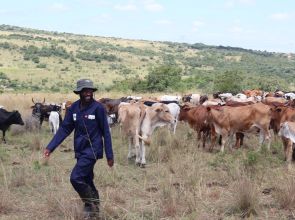 Meat naturally Africa transforms communal farming