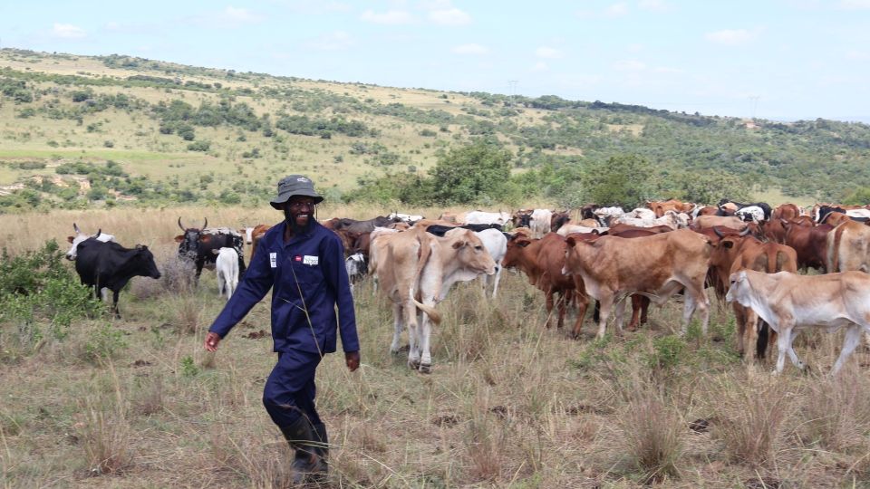 10-000-farmers-have-earned-more-than-R134-million-87-percent-from-livestock-auctions-conducted-in-their-own-villages-1.1.jpg