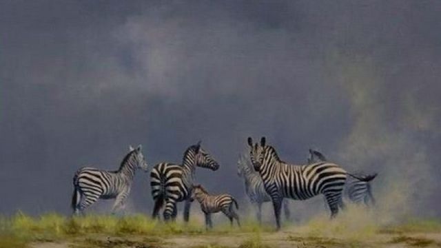 David-Shepherd-painting-of-zebras-1.jpg