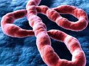 Uganda cancels Martyrs Day after Ebola eruption
