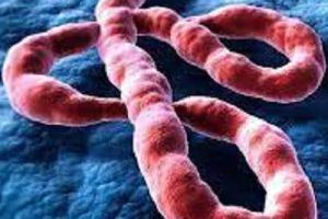 Deadly-Ebola-2023.jpg