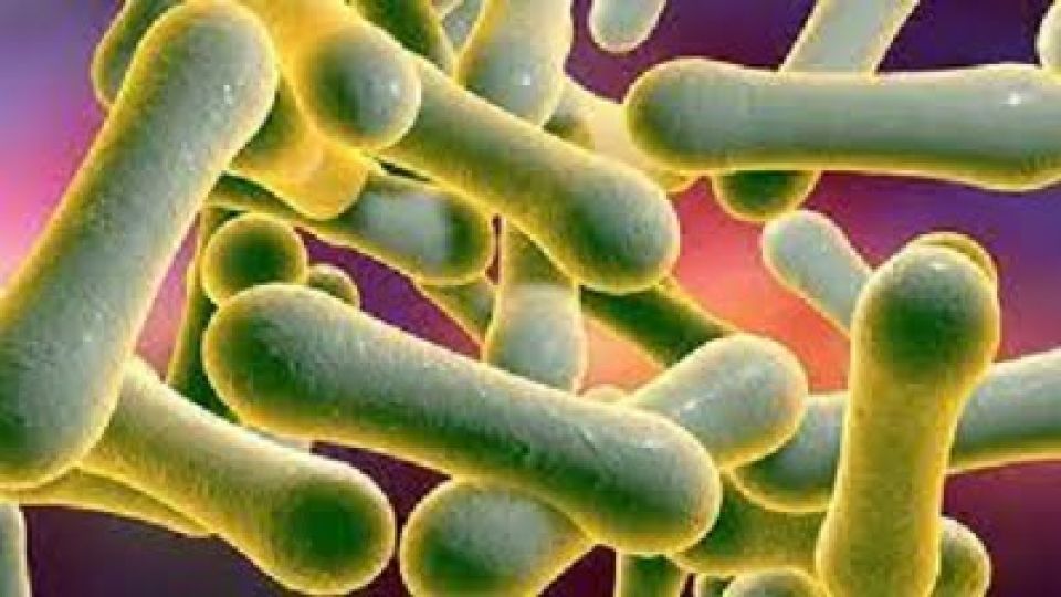 Diphtheria-outbreak.jpg