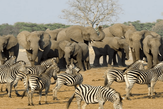 Kruger-National-Park.png