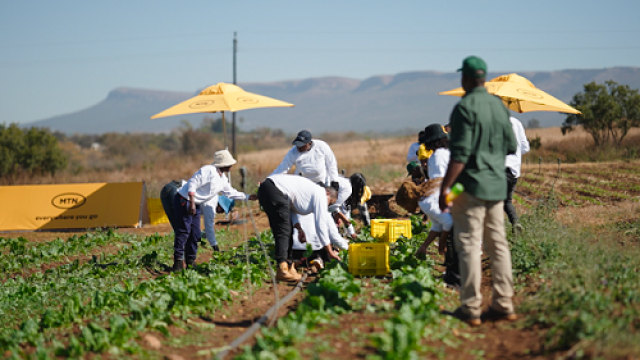 MTN-supports-agripreneurs.png