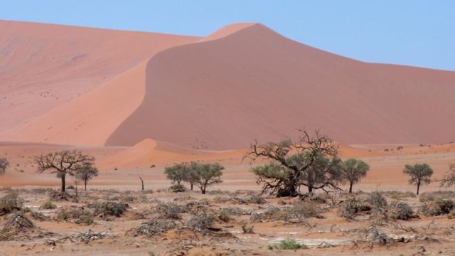 Namibia-tourism-Sossusvlei-and-Deadvlei-deserts-1.jpg