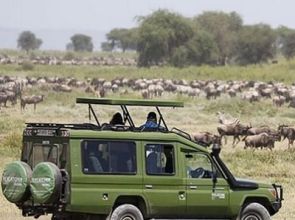African heritage sites anchor global nature stability