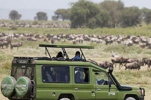 Serengeti-National-Park-1.jpg