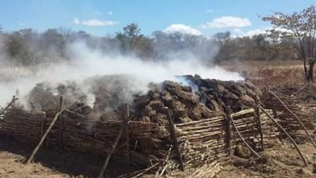 Siavonga-production-of-charcoal-1.jpg
