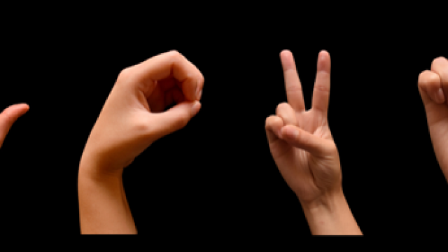 Sign-language-1.png
