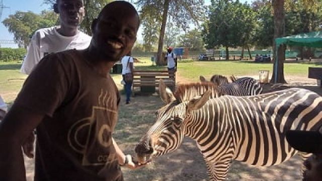 Sound-relations-between-a-human-and-zebra-1.jpg