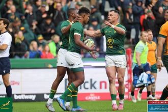 Springboks-1.jpg