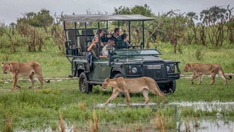 Wilderness-Safaris.jpg
