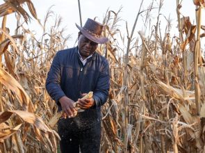 Zambia hits 5 million tonnes