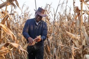 Zambian-President-Hakainde-Hichilema-praises-farmers-after-recording-5-million-tonne-maize-bumper-harvest.jpg