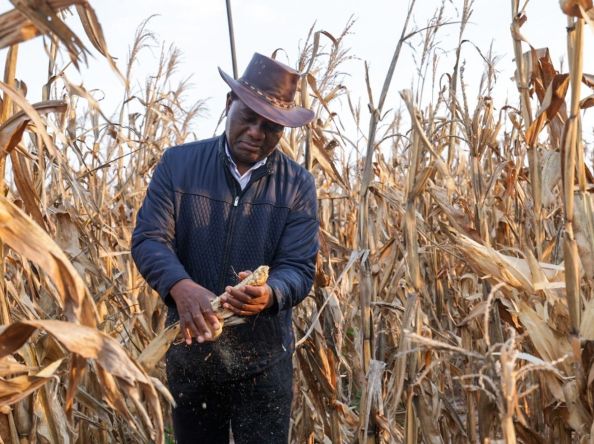Zambia hits 5 million tonnes