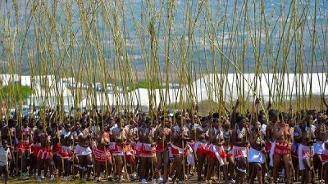 Zulu-Reed-Dance-1.jpg
